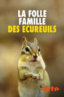 La Folle Famille des écureuils (2019)