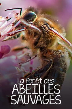 La Forêt des abeilles sauvages (2022)