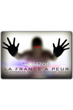 La France a peur: le syndrome du grand méchant monde (2014)