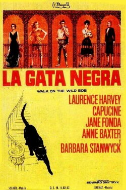 La gata negra (1962)