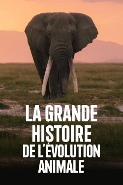 La Grande Histoire de l'évolution animale (2019)