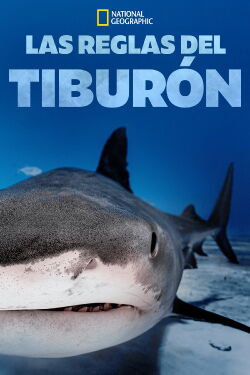 La guía de los grandes tiburones (2018)