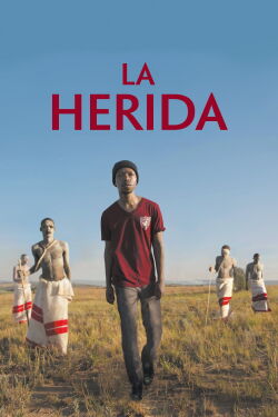La herida (2017)