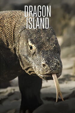 La isla de los dragones (2016)