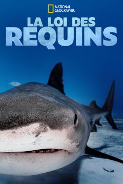 La loi des requins (2018)