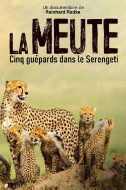 La Meute : Cinq guépards dans le Serengeti (2019)