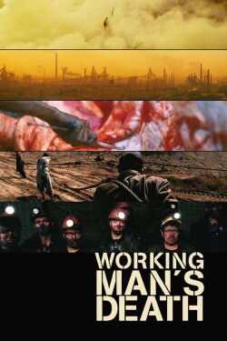La Mort du travailleur (2005)