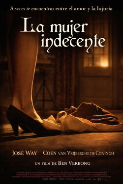 La mujer indecente (1991)