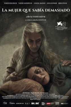 La mujer que sabía demasiado (2025)