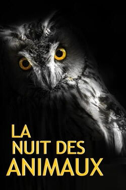 La Nuit des Animaux (2017)