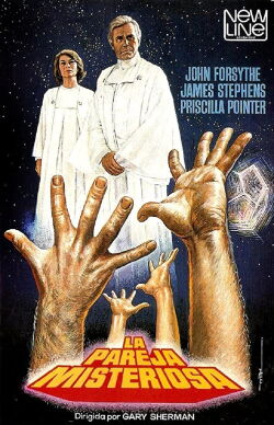 La pareja misteriosa (1982)