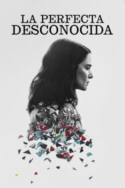 La perfecta desconocida (2016)