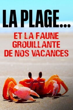 La plage... Et la faune grouillante de nos vacances (2022)
