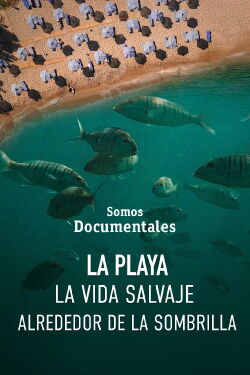 La playa, la vida salvaje alrededor de la sombrilla (2022)