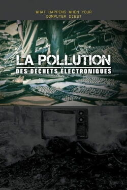 La Pollution des déchets électroniques (2017)