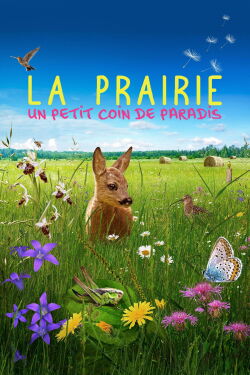 La prairie, un petit coin de paradis (2019)