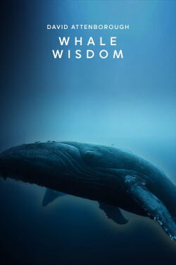 La sagesse des baleines (2018)