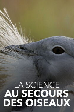 La Science au secours des oiseaux : Opération outarde (2021)