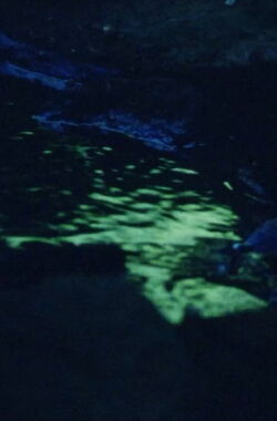 La Source De La Loire (2021)