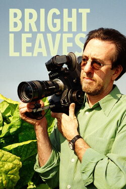 La Splendeur des McElwee (2004)