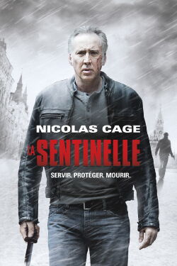 La vengeance dans le sang (2014)