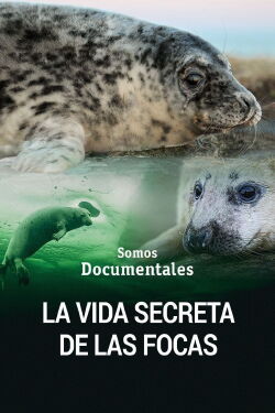 La vida secreta de las focas (2022)