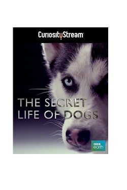 La vida secreta de los perros (2013)