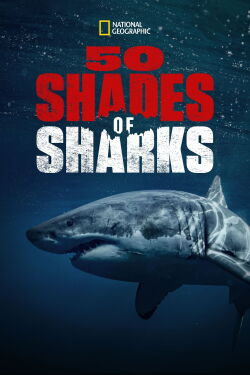 La vida secreta de los tiburones (2021)