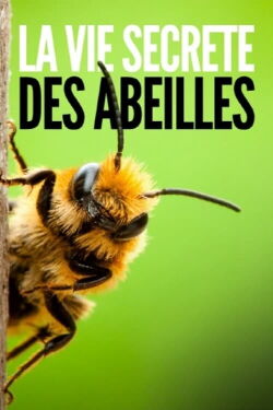 La vie secrète des abeilles (2021)