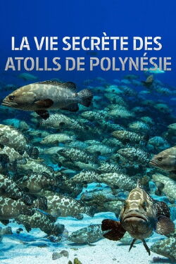 La vie secrète des atolls de Polynésie (2018)