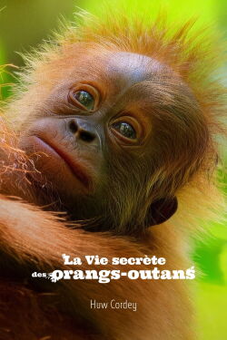 La Vie secrète des orangs-outans (2024)