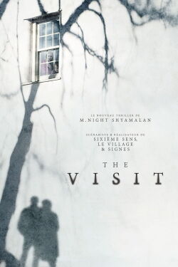 La visite (2015)