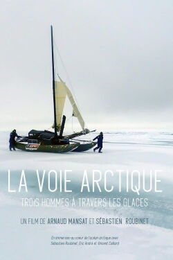 La Voie arctique - Trois hommes à travers les glaces (2020)