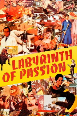 Labyrinth der Leidenschaften (1982)