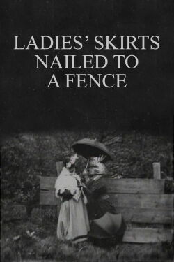 Ladies' Skirts Nailed to a Fence (1899)