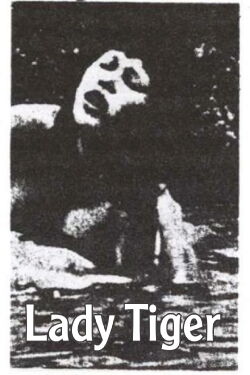Lady Tiger (1989)