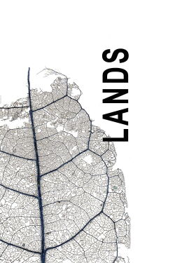 Lands (2009)