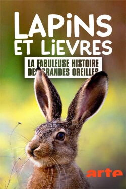 Lapins et lièvres, la fabuleuse histoire des grandes oreilles (2020)