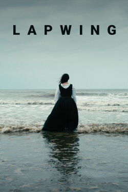 Lapwing (2021)