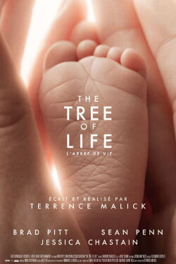 L'arbre de la vie (2011)