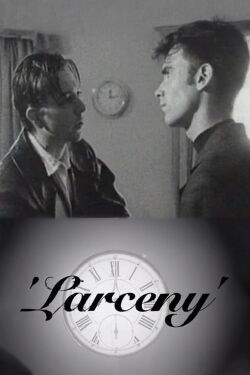 Larceny (1996)