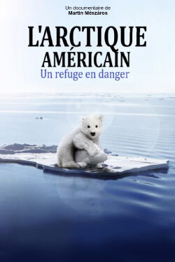 L'Arctique américain, un refuge en danger (2020)