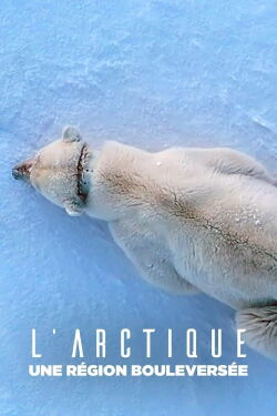 L'Arctique, une région bouleversée (2023)