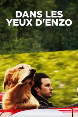L'art de courir sous la pluie (2019)