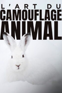 L'art du camouflage animal (2022)