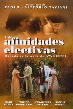Las afinidades electivas (1996)