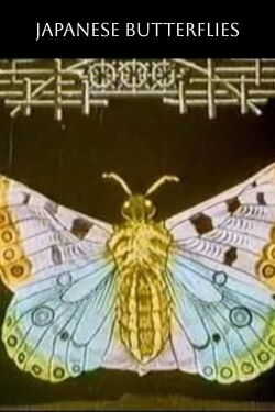Las mariposas japonesas (1908)