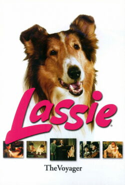 Lassie: Disappearance (1964)
