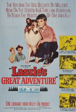 Lassie's Great Adventure (1963)