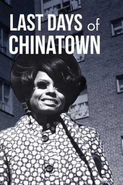 Last Days of Chinatown (2017)